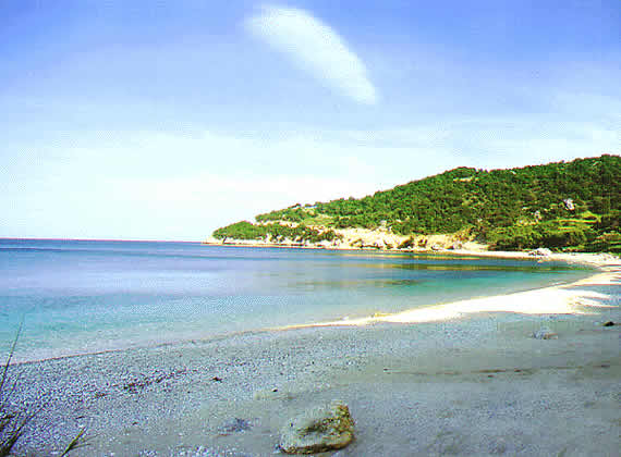 a really nice beach