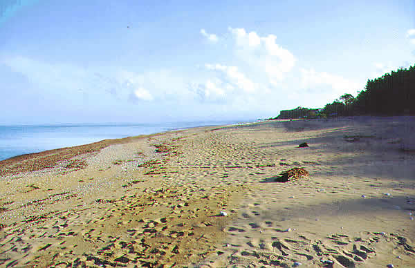 a really nice beach
