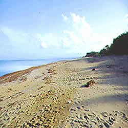another great beach