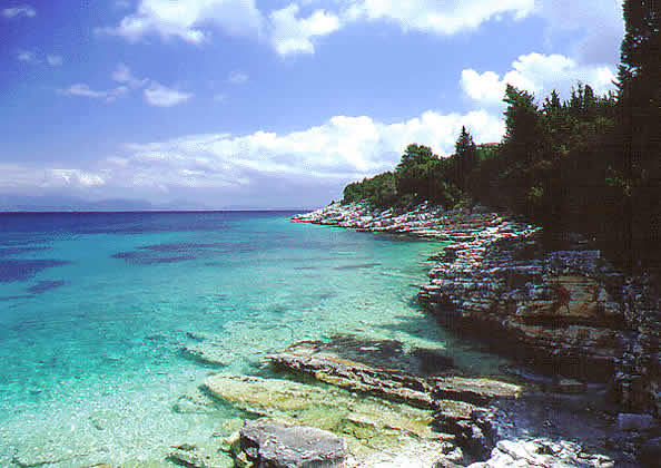 shore with rocks