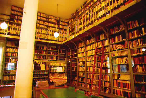 library of museum