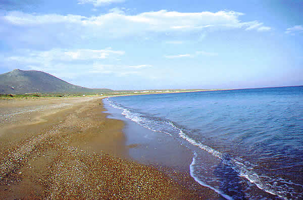 long sandy beach