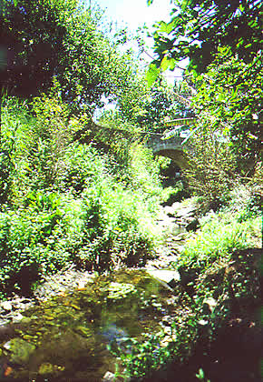 green scene on island
