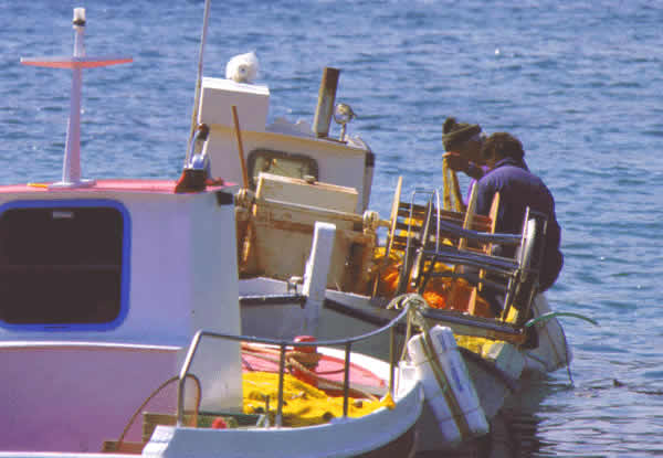 caiques fishing stuff