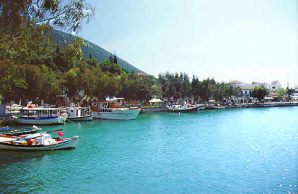 fishing boats catch fresh fish
