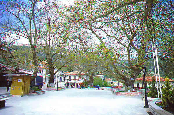 village square with trees