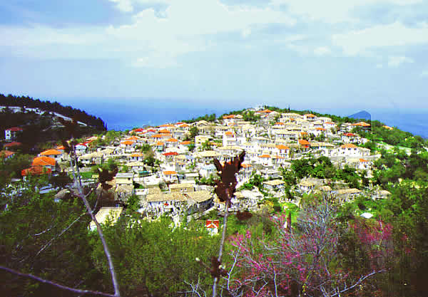 the village