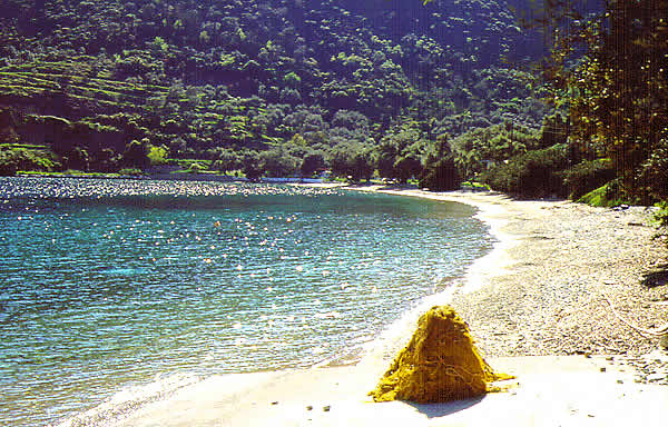 beautiful sandy beach