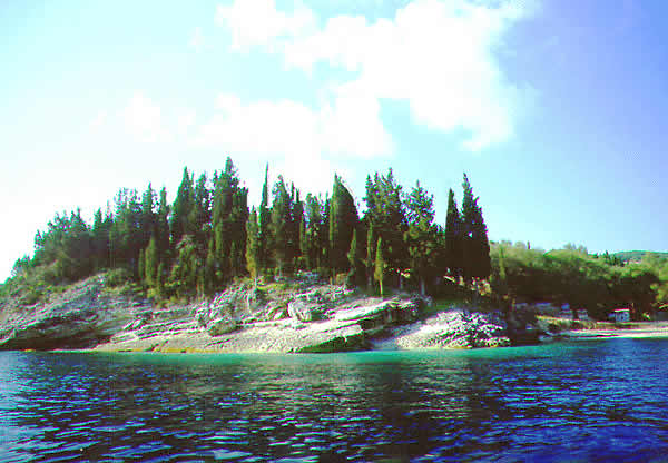shore with trees