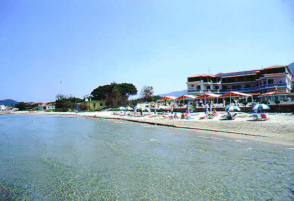 beach organized