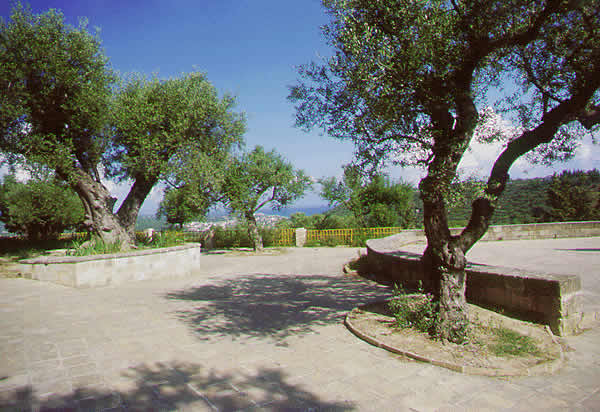 park trees
