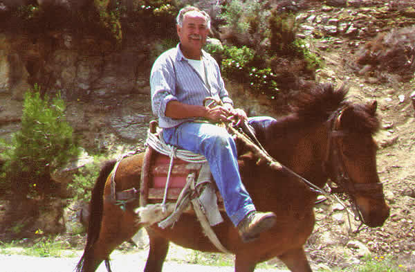 donkey and man