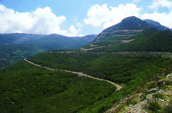 winding road across island