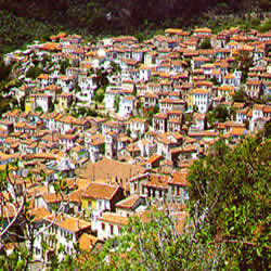 a village