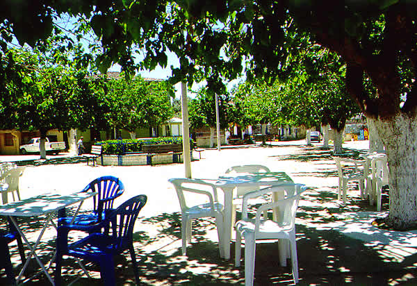 a side walk cafe with chairs