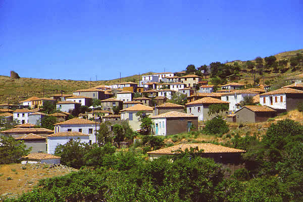 the village