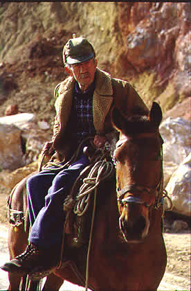 man on donkey